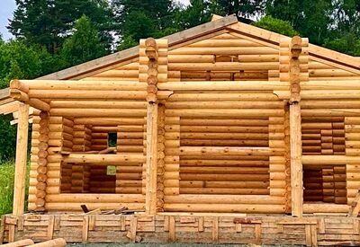 сруб из оцилиндрованного бревна Шаховская