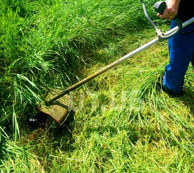 Покос травы Шаховской район цена