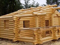 Сруб дома из бревна