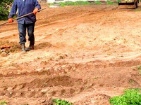 Расчистка участка