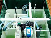 Септик Юнилос