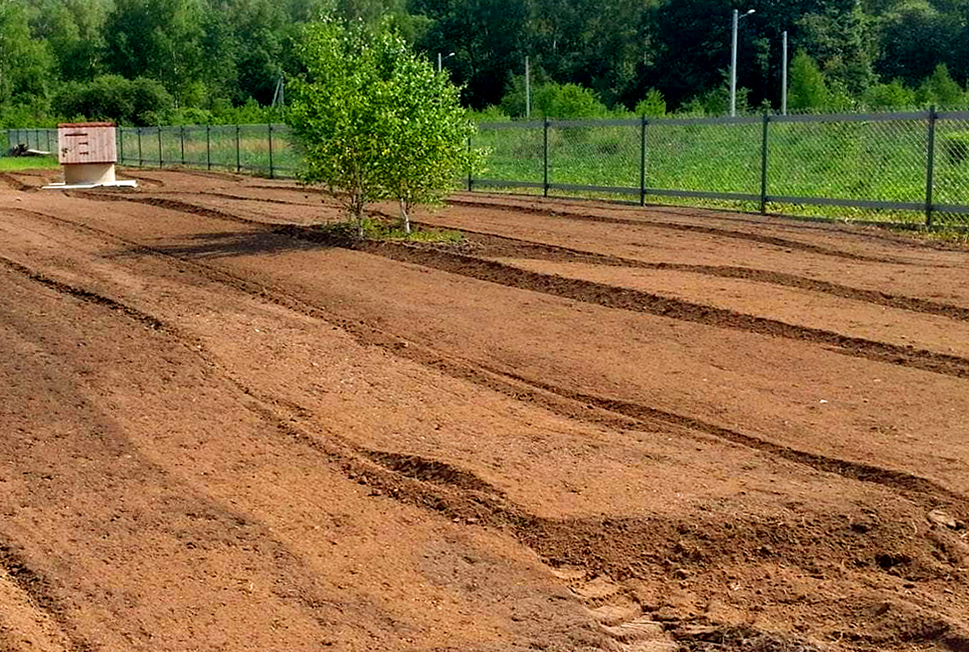 Ландшафтные работы на загородном участке