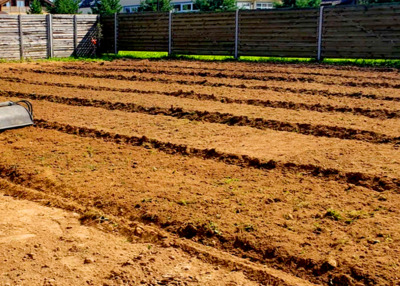 Ландшафтные работы на загородном участке Лотошино цена под ключ